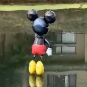 Meet your Posher, Waffles